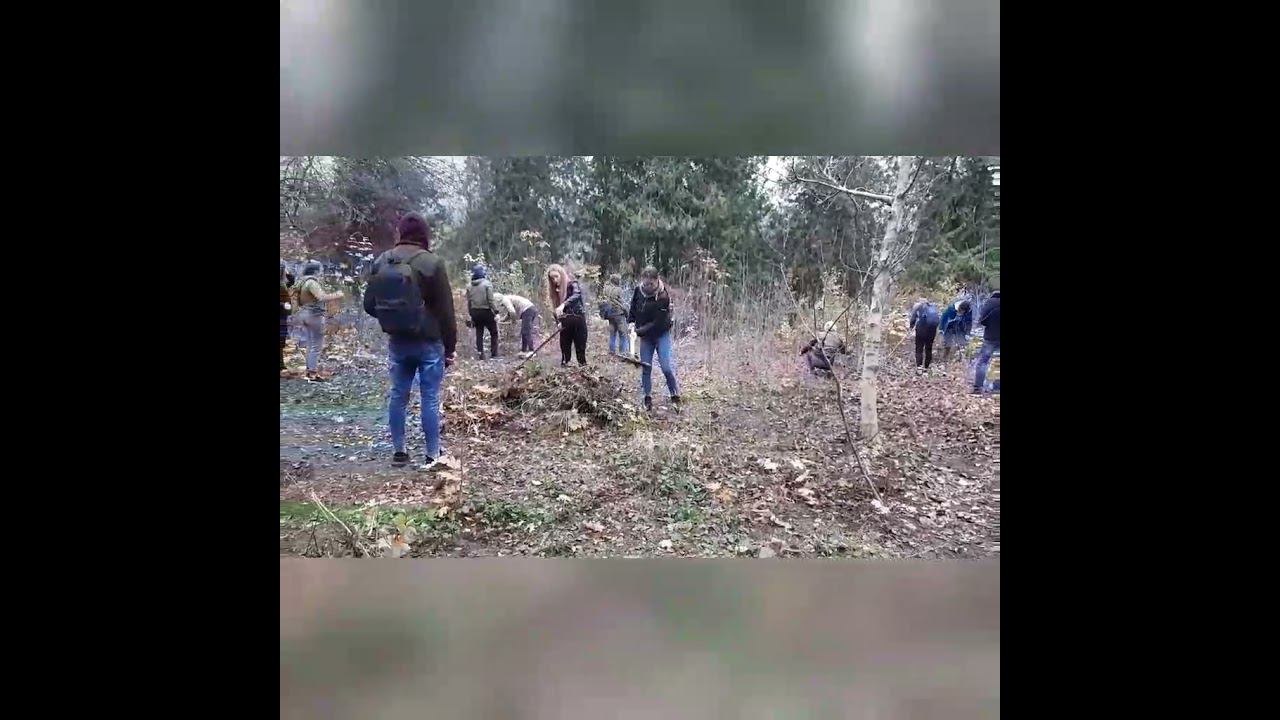 Voluntariat 2020 смотреть онлайн