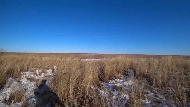 Охота на фазана на Дальнем Востоке# еще один день с мр-155 смотреть онлайн