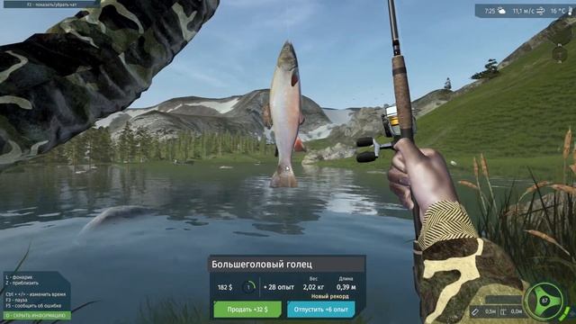 #1 ✔️ Ultimate Fishing Simulator | Рыбалка смотреть онлайн