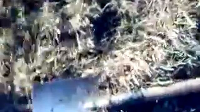 Сокровища инков смотреть онлайн