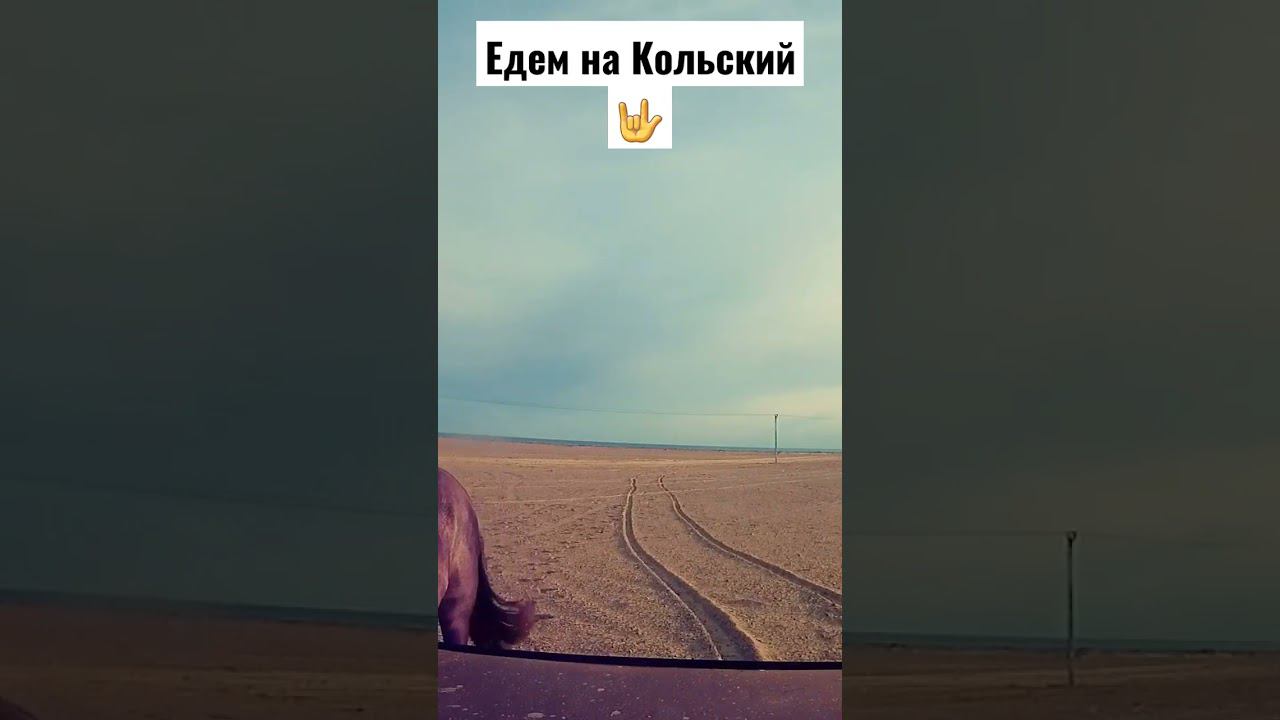 #кольскийполуостров #мурманскаяобласть #travel #ks #offroad #niva #нива #russia #pajero #mitsubishi смотреть онлайн