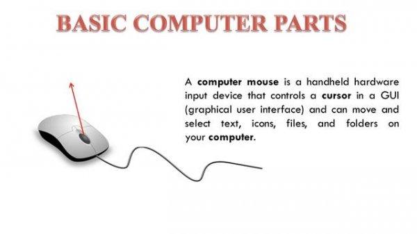 PARTS OF COMPUTER | ALL COMPUTER PARTS |  BASIC COMPUTER PARTS | Detailed Explanation .