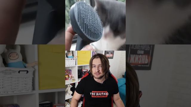 Самое крутое изобретение для котов - расческа с очисткой! смотреть онлайн