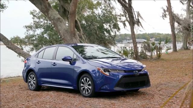 All new 2020 Toyota Corolla LE Hybrid [US Spec] l Drive & Design смотреть онлайн