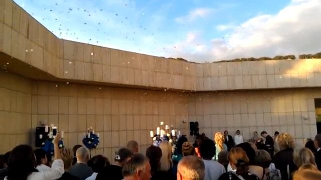 Выдув конфетти лепестки роз. смотреть онлайн