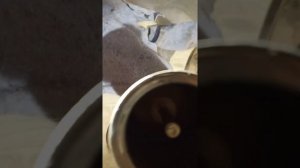 Гейзерная кофеварка не наполняется до конца как исправить