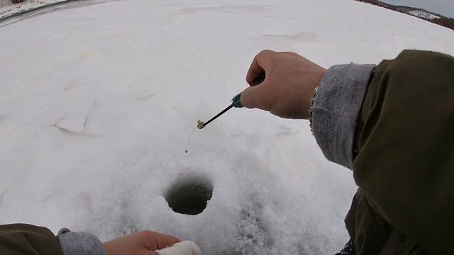 ЩУКИ РАЗГИБАЮТ КАРАБИНЫ,КУСАЮТ РУКИ РЫБАЛКА НА РЕКЕ ЧУЛЫМ. смотреть онлайн