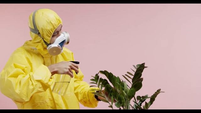 БАКТЕРИОЗЫ И БОРЬБА С НИМИ