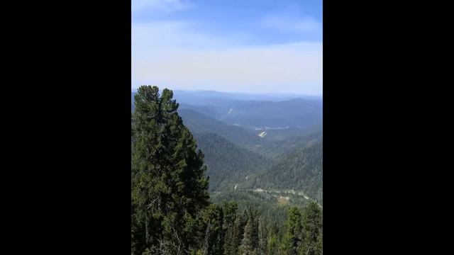 почему так долго не было видео смотреть онлайн