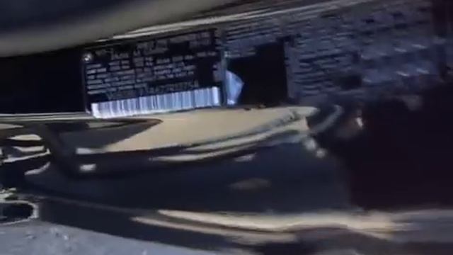 коллекционный экземпляр 333