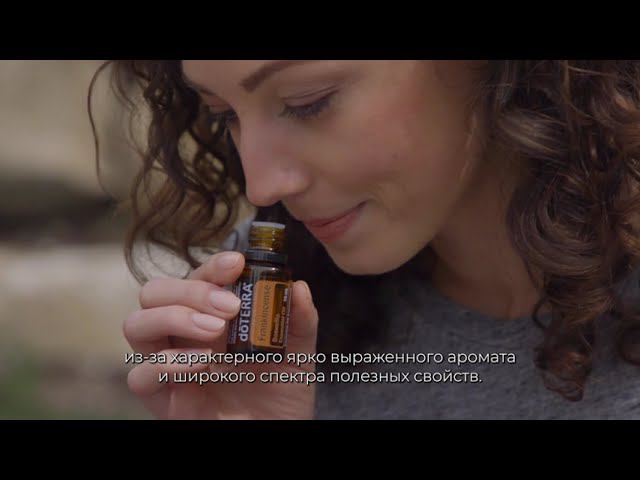 Использование эфирного масла Ладана смотреть онлайн