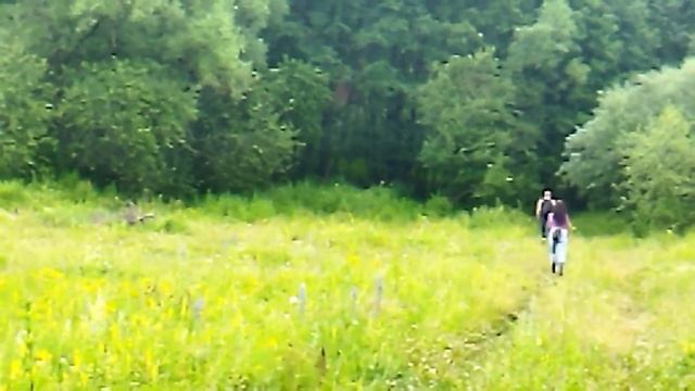 Малая родина. Забыть невозможно. смотреть онлайн