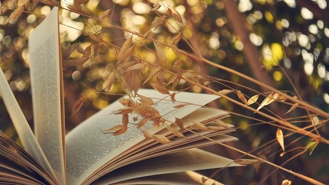 ПОЛЬЗА ЧТЕНИЯ КНИГ Зачем нужно читать смотреть онлайн