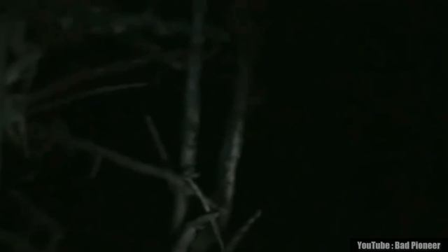 UNBELIEVABLE! Scary Videos That Will Mess With Your Mind | Scary Comp. V19