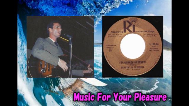 The Cannon Brothers - Surfin' In Bermuda Larry Finnegan смотреть онлайн