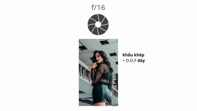 5 Yếu Tố Xoá Phông Khi Quay Phim Chụp ảnh