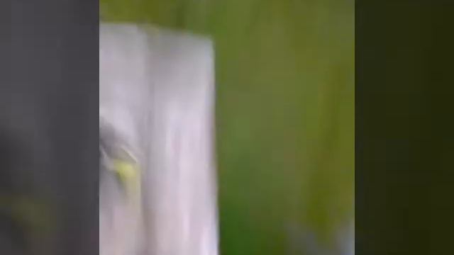 Влог едем в бережное смотреть онлайн