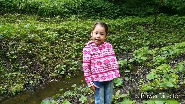 Родина. Стихотворение (Рузанна Мурадян) смотреть онлайн