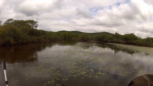 Щука осенью, Приморский край.