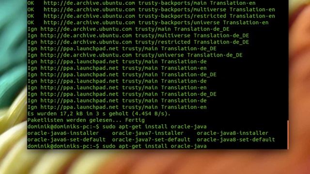 Ubuntu - Oracle Java installieren смотреть онлайн
