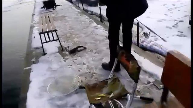 Рыбалка на ViP зоне в Савельево-1! 9.03.17г смотреть онлайн