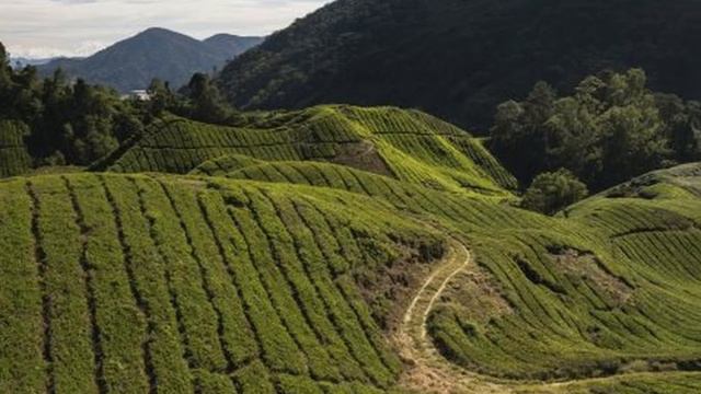 6 Perfect Honeymoon Destinations in Malaysia смотреть онлайн