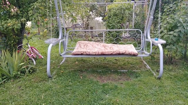 Грабли веерные. Портулак.