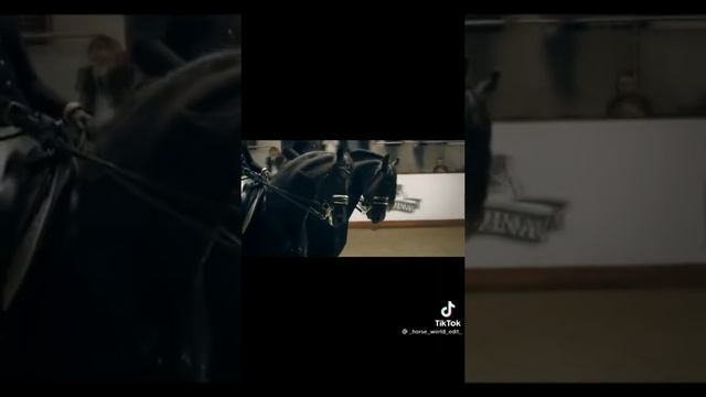 ❤️Тik Tok|| лошади✨ эдиты + тутор ❤️ смотреть онлайн