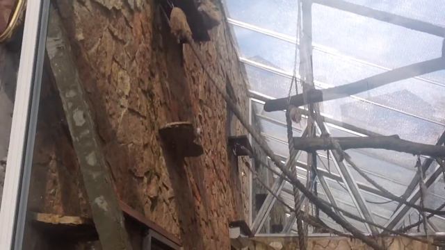 Зоопарк 8 смотреть онлайн