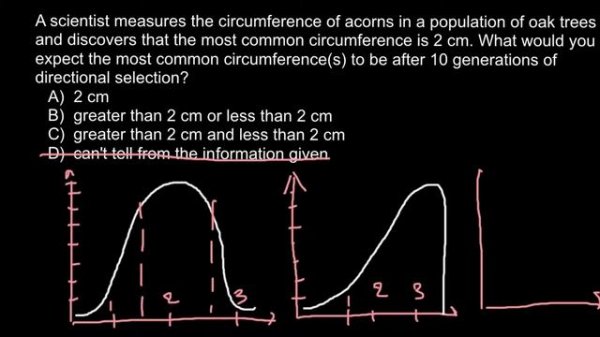 Definition of directional selection