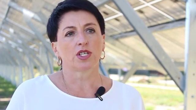 Прилуки. СЕС. 250 кВт. Зелений тариф. смотреть онлайн