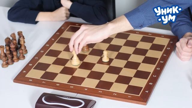 ШАХ И МАТ! Король и пешка против короля смотреть онлайн