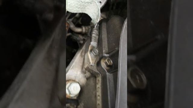 when kia engine knocks your head at 116,000km смотреть онлайн