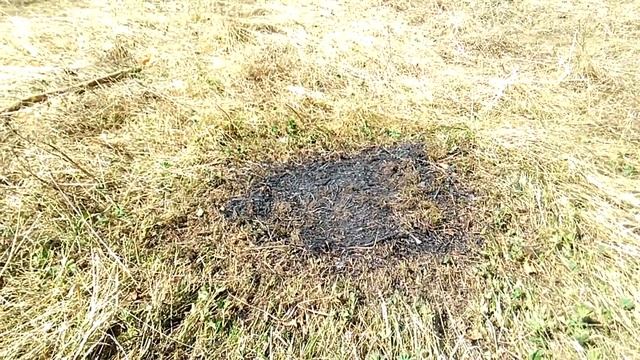 Продолжаю сажать деревья в Родовом поместье Ве Лес в мае 2018 смотреть онлайн