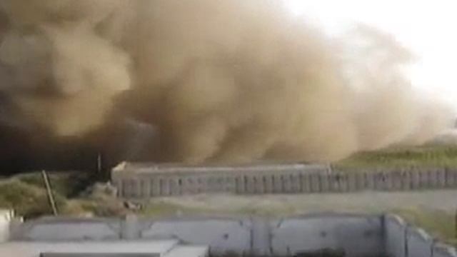 the tree team смотреть онлайн