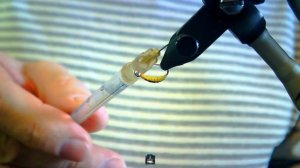 Снасть для рыбалки. Мушка ацетатный ручейник, шитик. Необычайно надёжная и супер уловистая мушка.