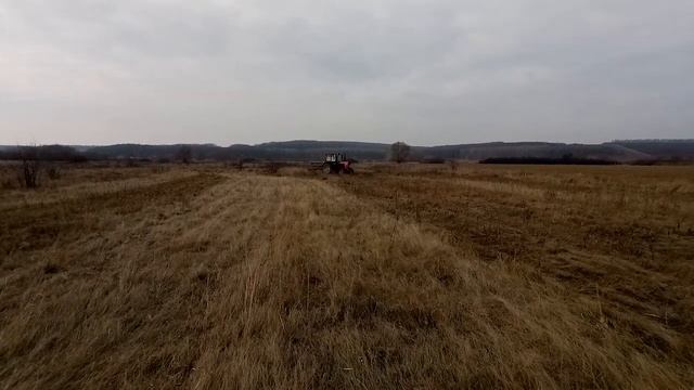 Расчищаем Заброшенный Луг под Будущий Сенокос смотреть онлайн