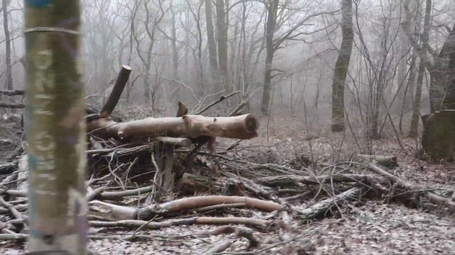 VLOG: К НАМ ПРИШЛА ЗИМА смотреть онлайн