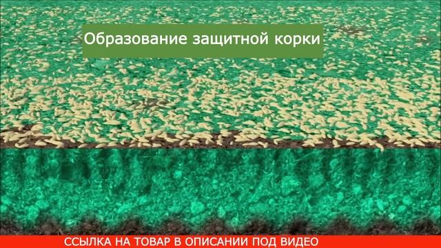 Жидкий газон Hydro Mousse купить, цена, отзывы Гидропосев газона Hydro Mousse своими руками, обзор смотреть онлайн