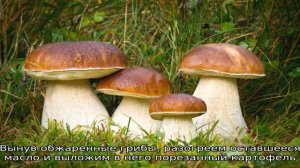 Белые грибы жареные с картошкой