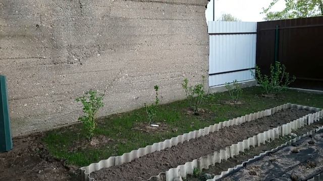 Обо всём по чуть чуть(рассада в теплице, цветники и скворечник) смотреть онлайн
