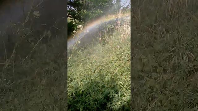 возвращение после поиска Иван Чая смотреть онлайн