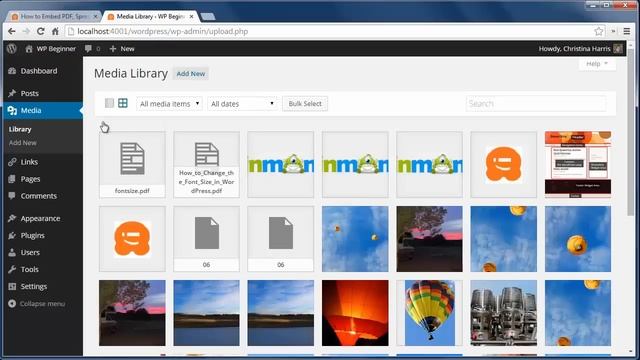How to Embed PDF, Spreadsheet, and others in WordPress Blog Posts смотреть онлайн