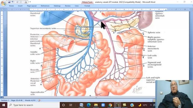 Anatomy GIT Module in English ( Portal circulation . part 2 ) , by Dr, Wahdan смотреть онлайн