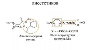 3.2.  Местные анестетики