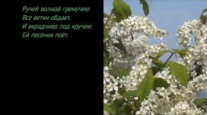 Сергей Есенин: Черёмуха