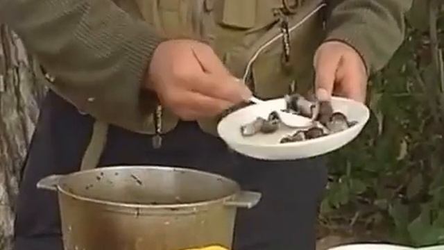 Ловля леща и воблы смотреть онлайн