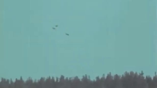 1980 Серая шейка смотреть онлайн