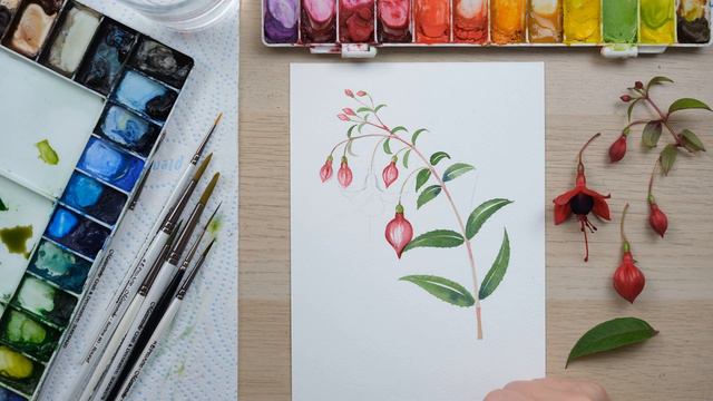 Paint a Watercolour Fuchsia смотреть онлайн