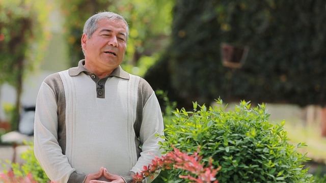 kala guli sizga ham qiziqmi? Белокрыльник / Calla смотреть онлайн